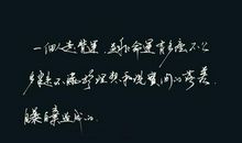 2017社会现实语录