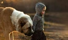 霸气励志短句：要么出人头地，要么人头落地