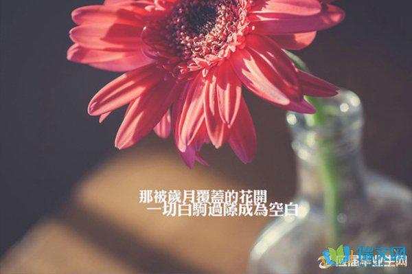 什么是幸福