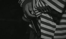 爱了你从不后悔的句子