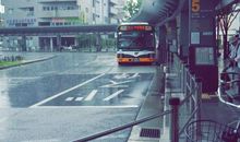 哲思关于亲情的句子