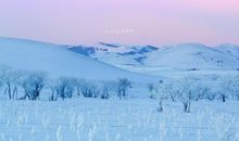 描述冬天的优美语句