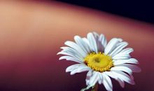 有种亲情割不短的句子