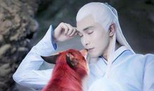 三生三世枕上书好句子 三生三世枕上书经典语录