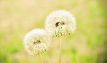 经典说说关于人生