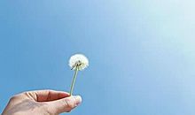 做错事表示后悔的句子