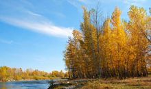 心烦时看书的句子