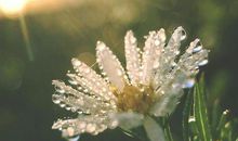 英文句子关于亲情