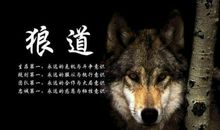 狼的励志格言