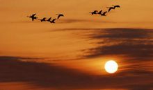 分手自己后悔的句子