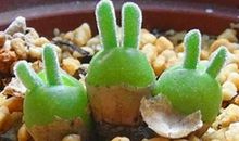 微博幽默段子，微博搞笑的段子精选