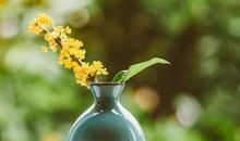 关于秋天的经典句子 描写秋天的语句简短