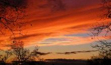 对自己的父母好失望的句子