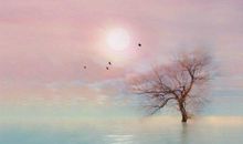 风景优美的句子