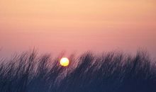 生死离别伤感的句子