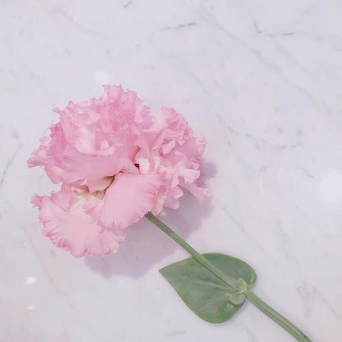 如果您想知道一个人是否爱您