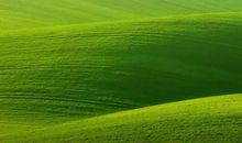 描写草原的优美句子