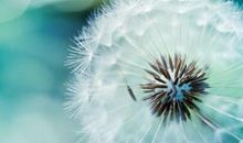 森系干净签名 森系个性签名一句话