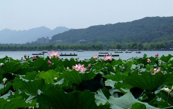    关于西湖的优美句子  1