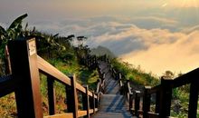 关于赞美母校的优美句子