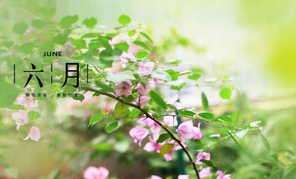  6月是一个快速增长的季节