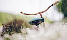 对公司太失望的句子