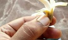 搞笑段子短句：初闻不知曲中意，再闻歌曲已收费