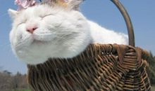 月考的搞笑句子 关于月考的笑话