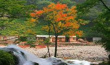 关于青春的优美句子