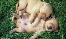 幽默搞笑短句2019