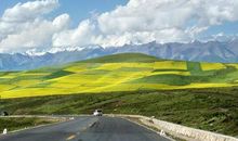 关于劳动的经典句子