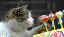 抖音搞笑句子在哪里找