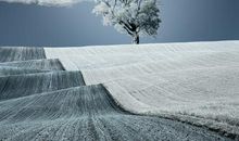 时光飞逝的短句唯美