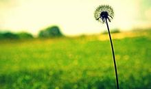 孤独的句子说说心情,一个人孤独的说说看了想哭