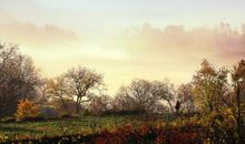 关于减肥的搞笑句子2020