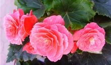 最搞笑的句子短语