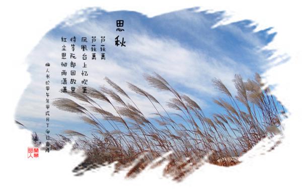    关于思丘的想法  1