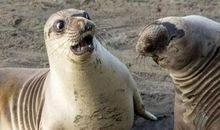 幽默风趣的句子