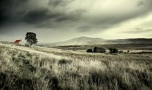 爱到心痛到心碎的句子