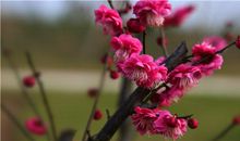 100句精彩的搞笑的句子