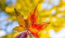 九月早安语录 迎接九月的第一天说说