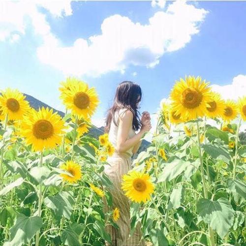我们来看看小编编撰的关于今天和女友幸福的句子