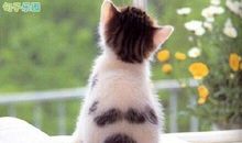 李诞14句金句 李诞名言名句