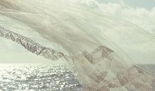 表达情感的句子，描写情感的句子欣赏