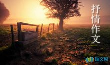 关于描写抒情的句子