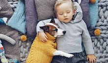 搞怪的句子说说