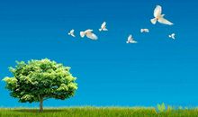 关于环保的句子