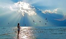 可以打开心扉的句子