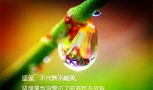 生活再苦也要笑着面对励志说说