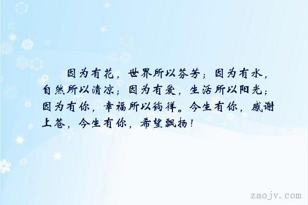 动物依旧